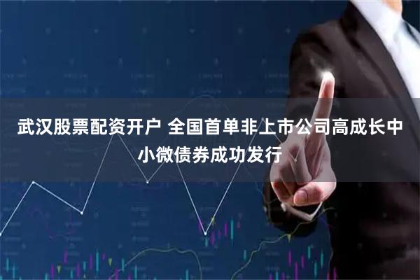 武汉股票配资开户 全国首单非上市公司高成长中小微债券成功发行