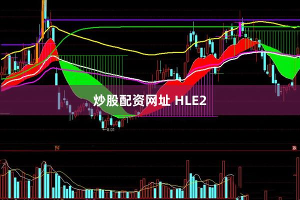炒股配资网址 HLE2